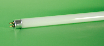 Lineari standard